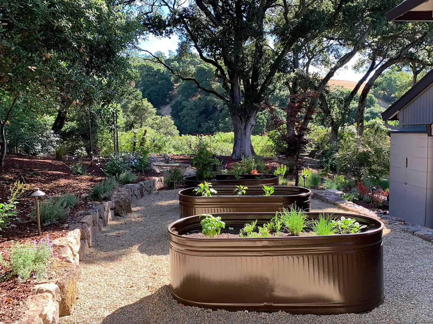 large-galvanized-troughs-with-planted-vegetables