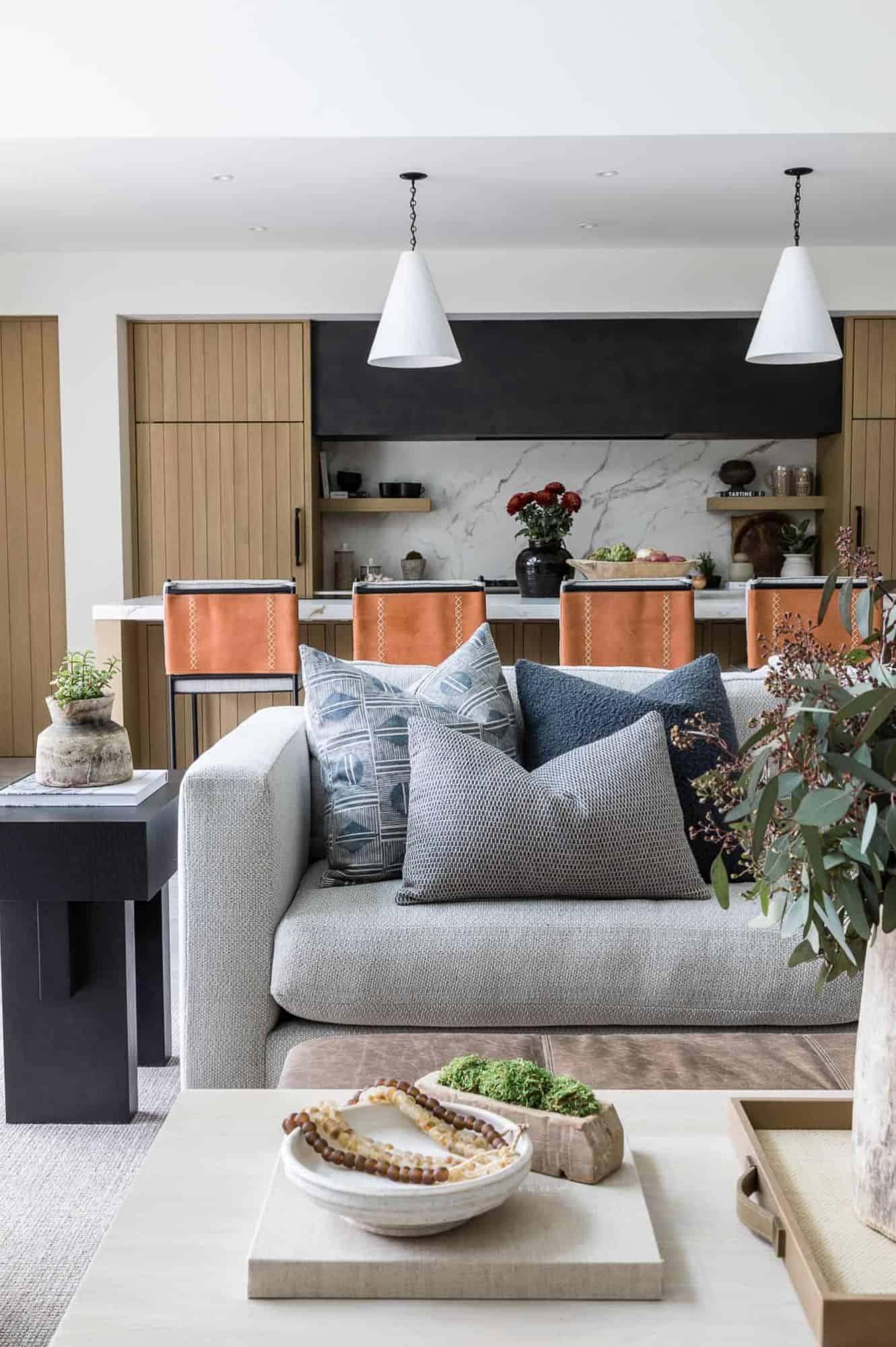 coastal-contemporary-style-living-room