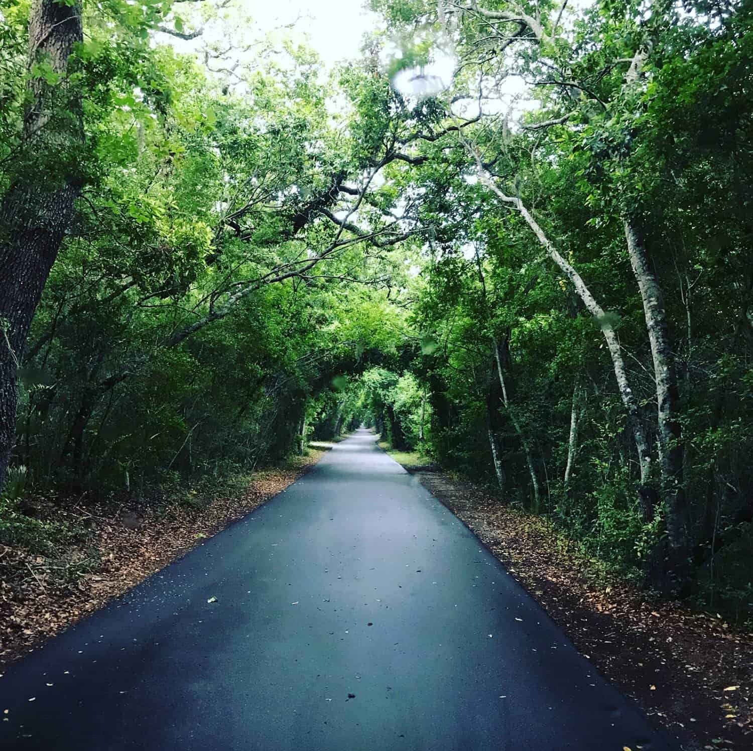 bald-head-island-south-carolina-landscape
