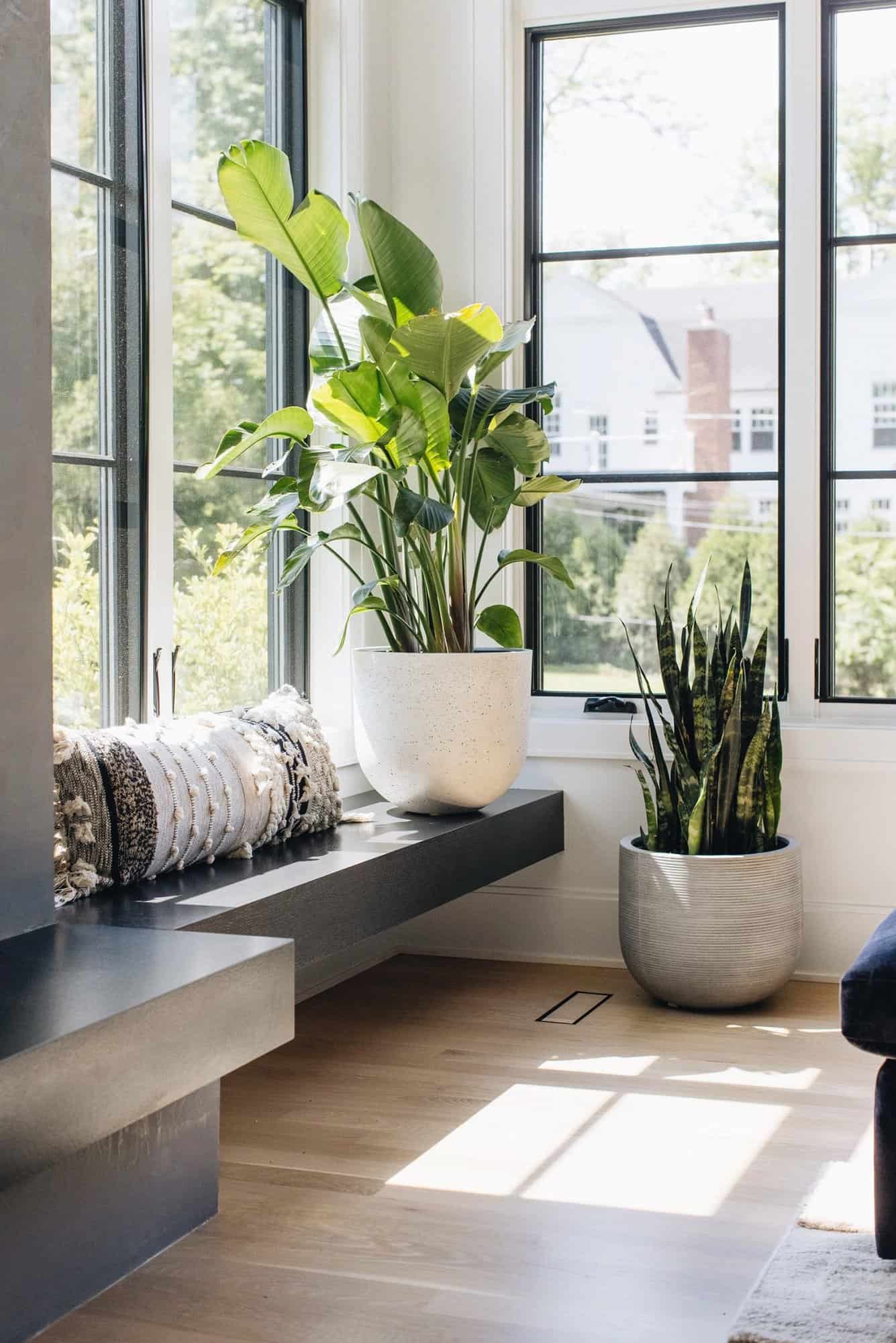 modern-casual-living-room-window-seat