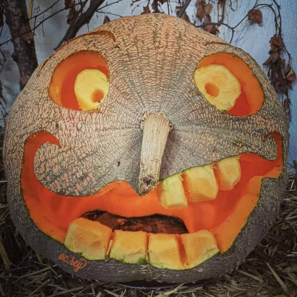 23 Best Pumpkin Carving Ideas You Have To Try This Halloween