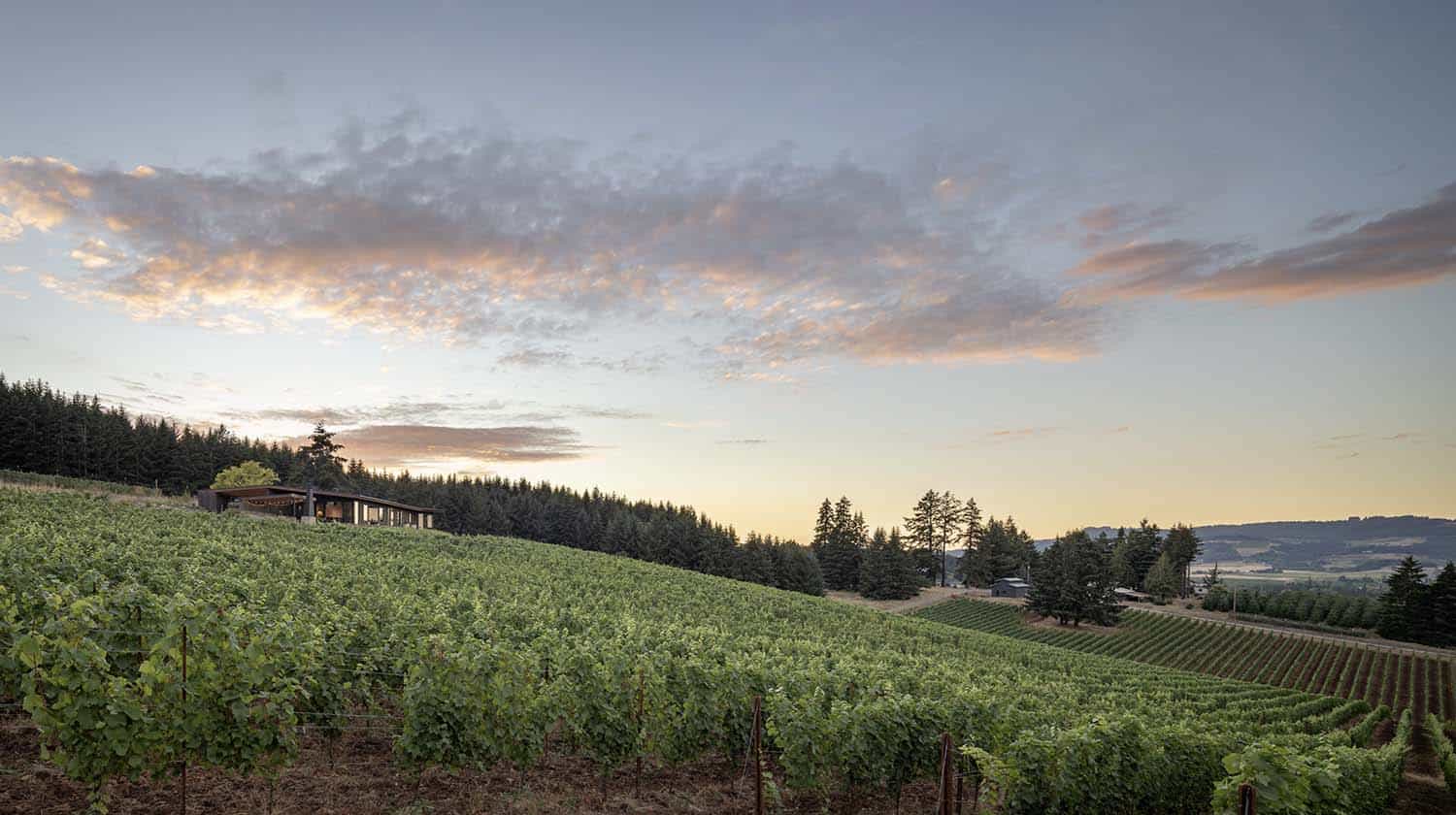 modern-vineyard-home-exterior