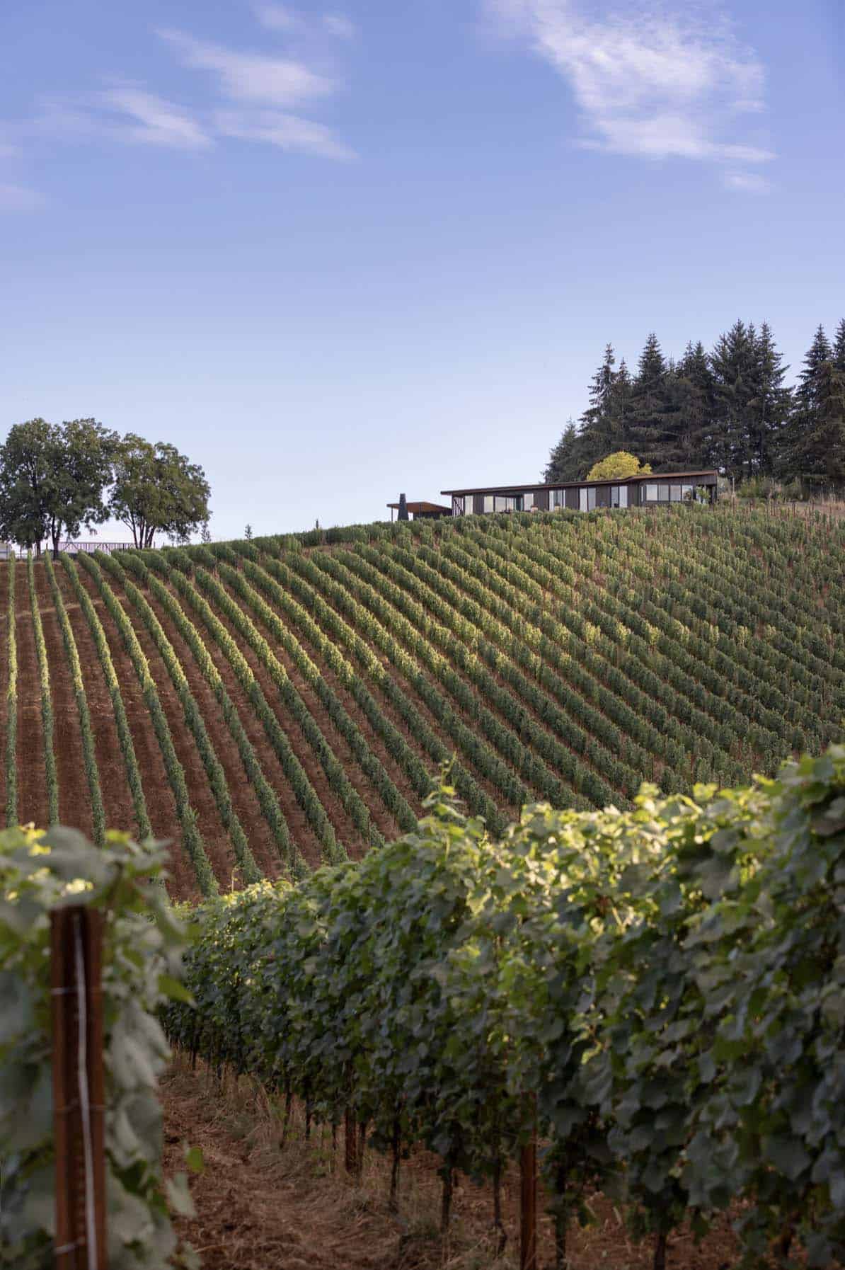 modern-vineyard-home-exterior