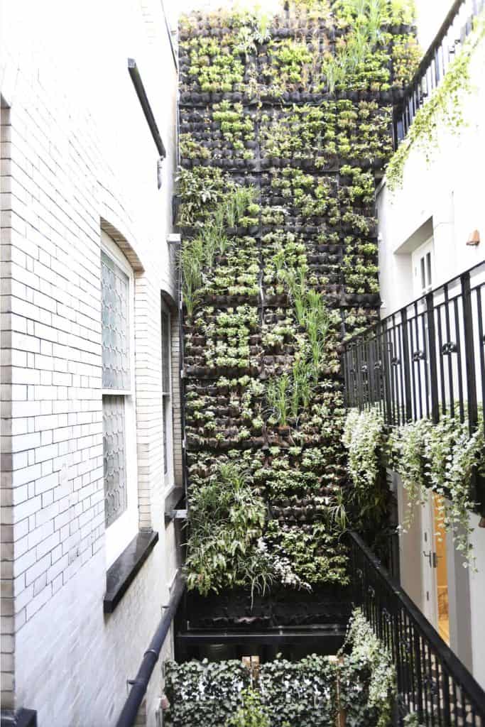 26 Awesome Backyard Landscaping Ideas To Transform Your Space