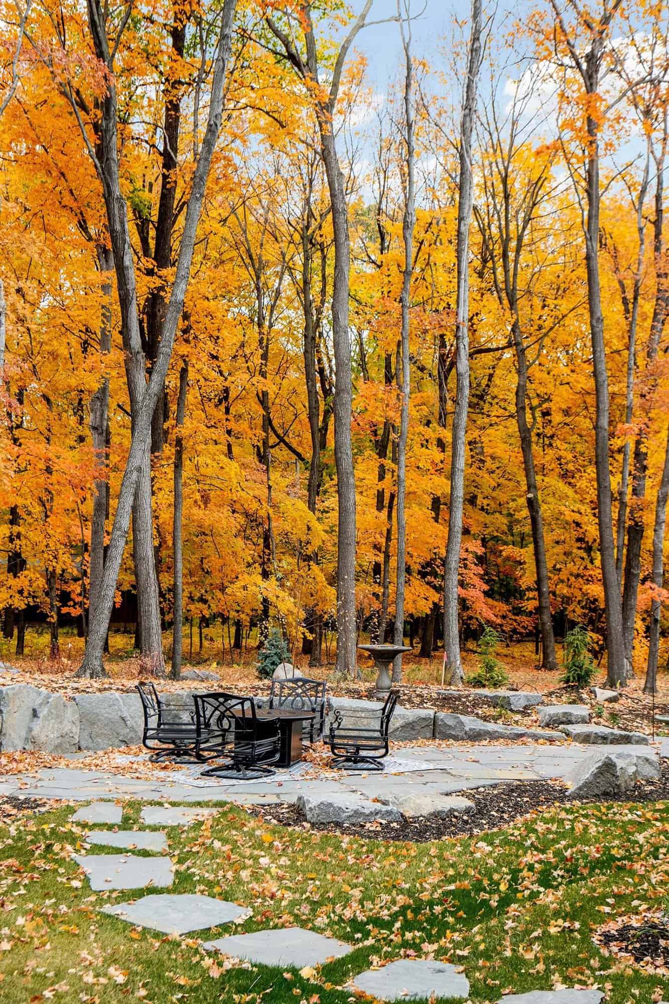 modern-house-exterior-backyard-fire-pit-with-woods-backdrop