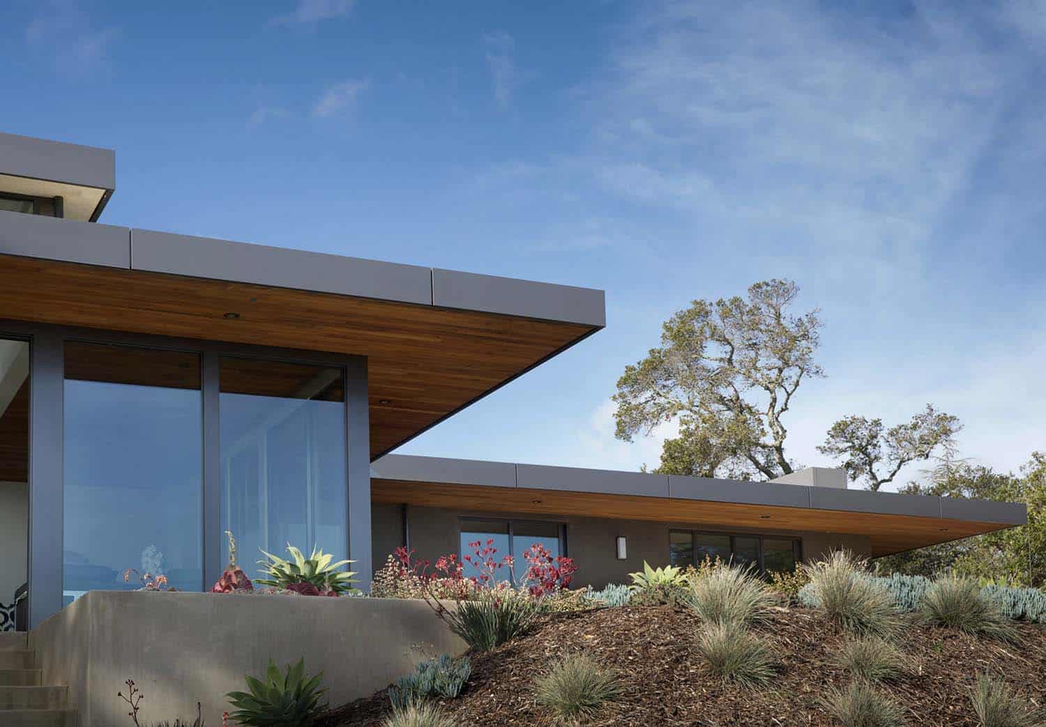 exterior backyard view
