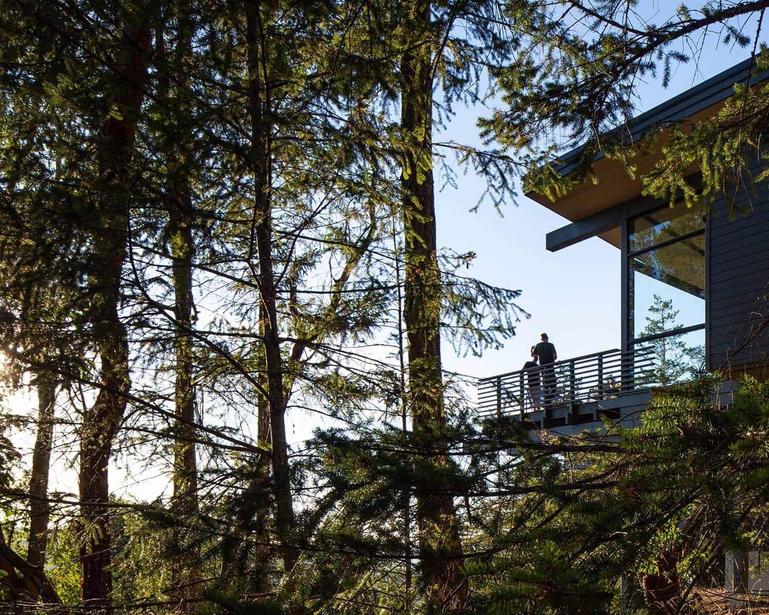 contemporary mountain cabin exterior