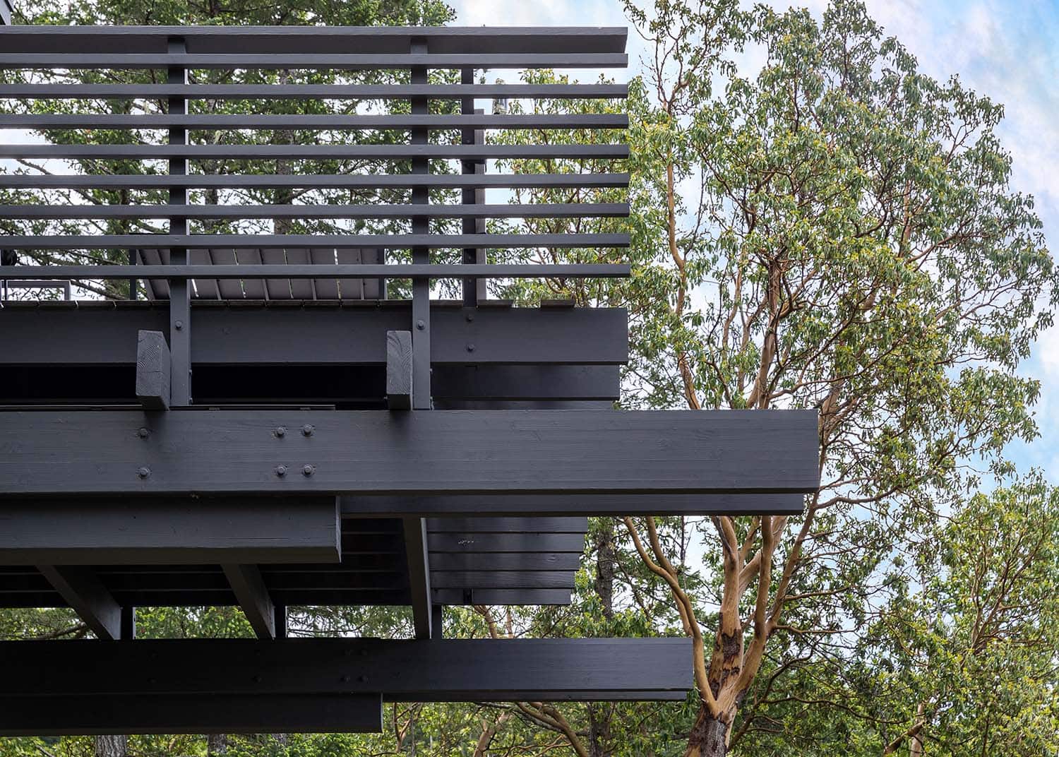 contemporary mountain cabin exterior detail