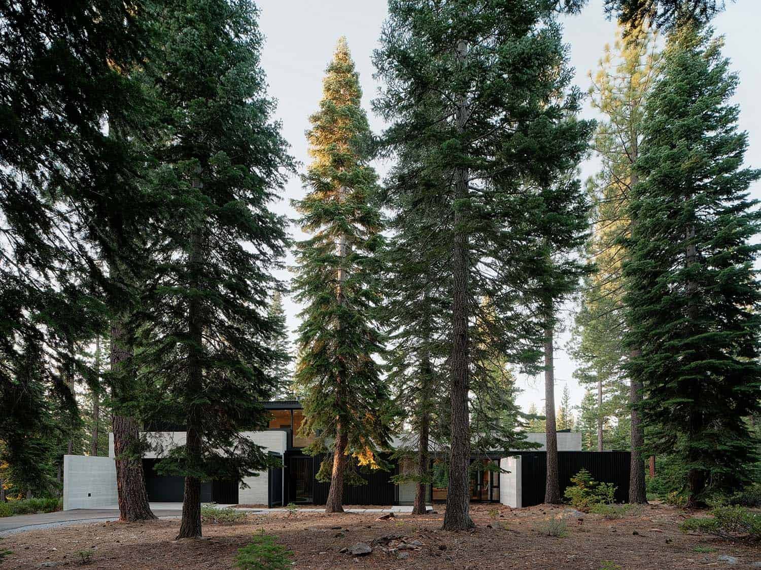 modern mountain house in a forest