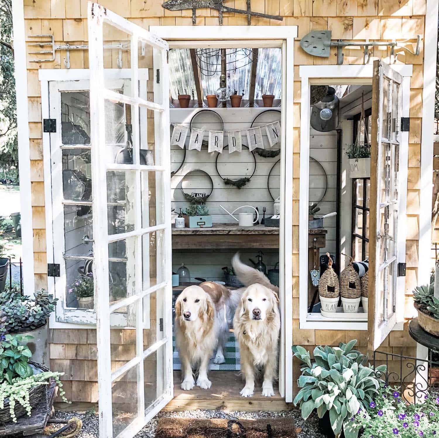 inviting greenhouse shed with old windows and doors
