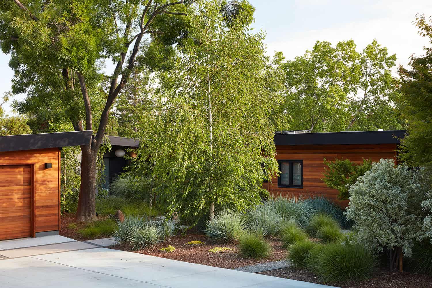 mid-century modern home exterior landscape