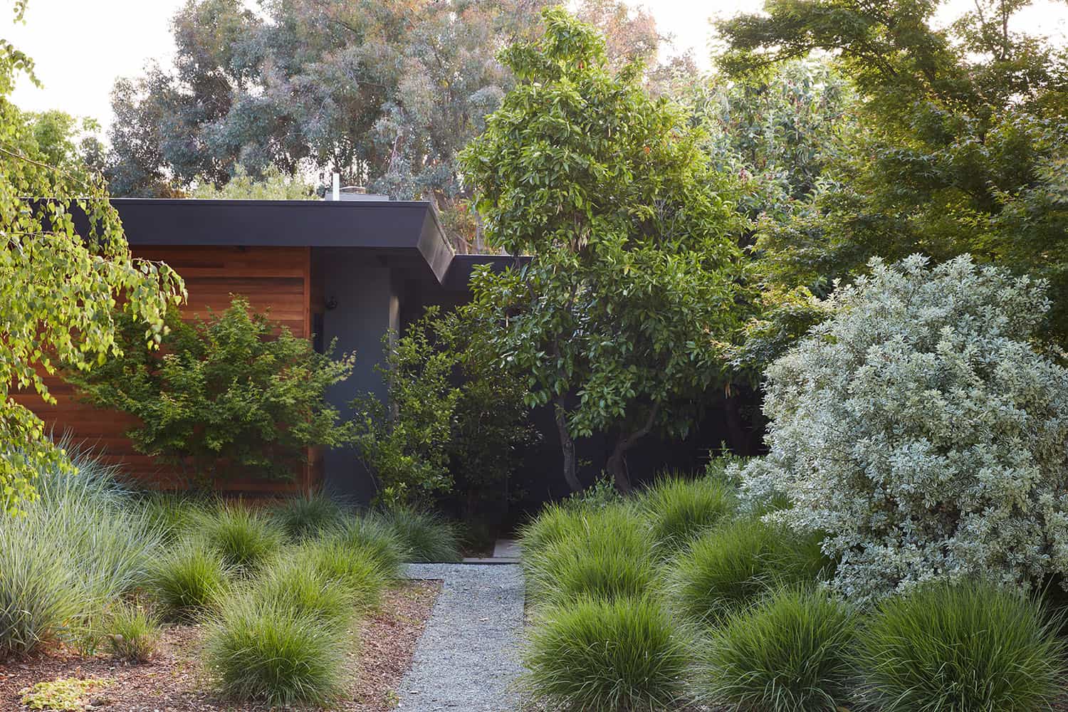 mid-century modern home exterior landscape