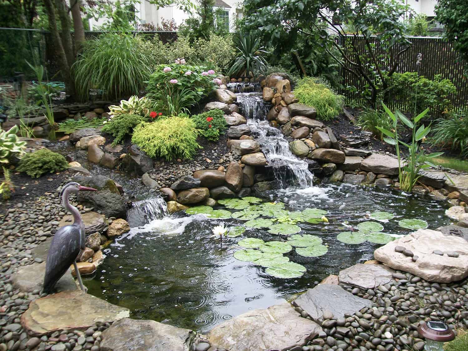 natural waterfall feature in a backyard with gardens