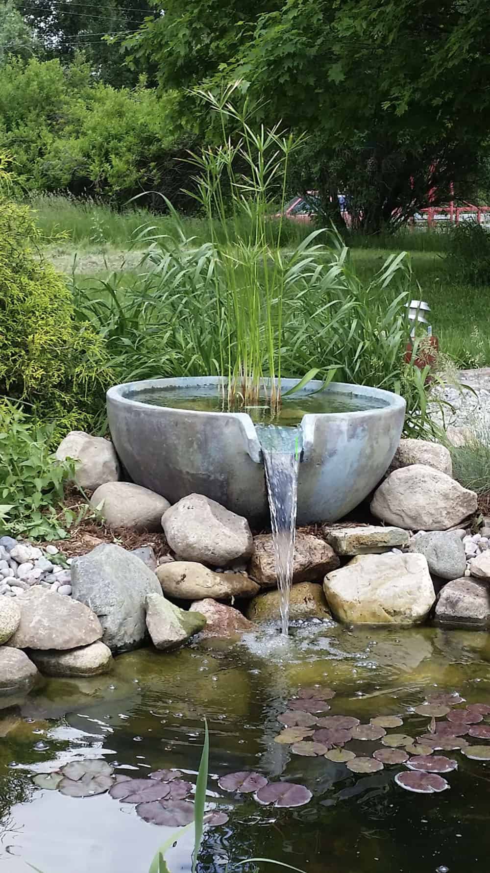 natural ecosystem pond, stream and waterfall