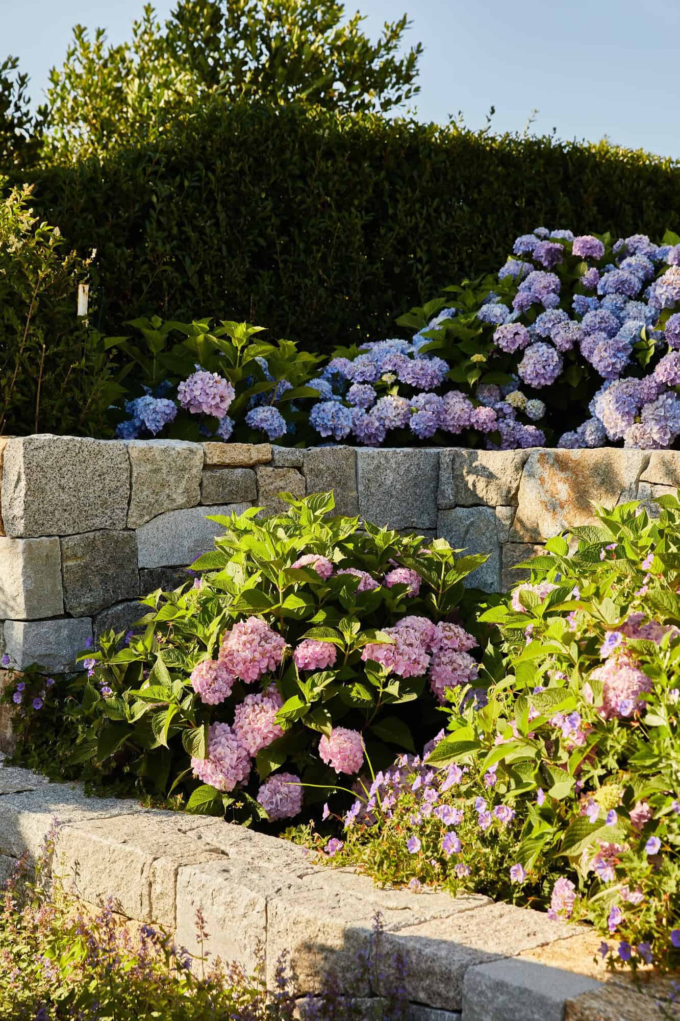 nantucket-beach-house-exterior-with-hydrangeas