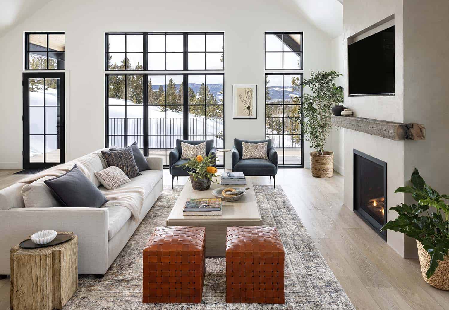 Scandinavian-organic-living-room