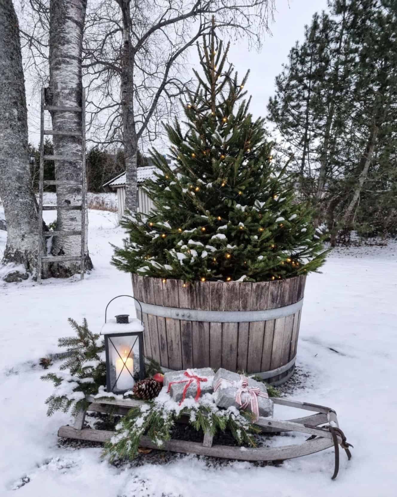 outdoor-Christmas-tree-in-the-country