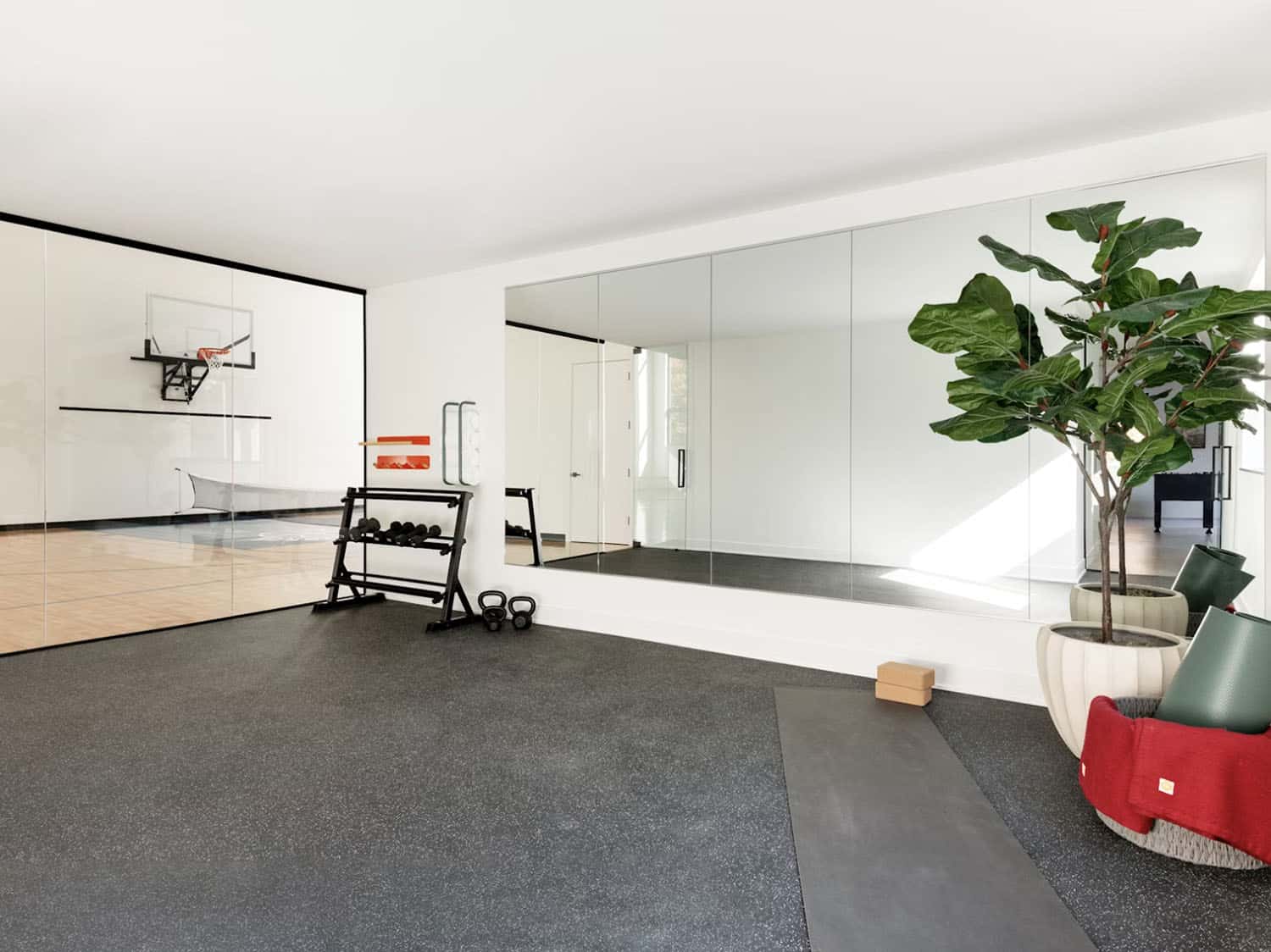 modern-home-gym