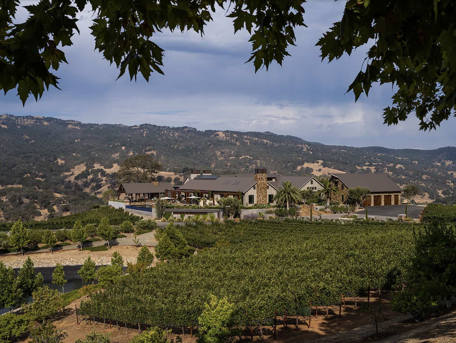 napa-valley-vineyard-and-custom-home