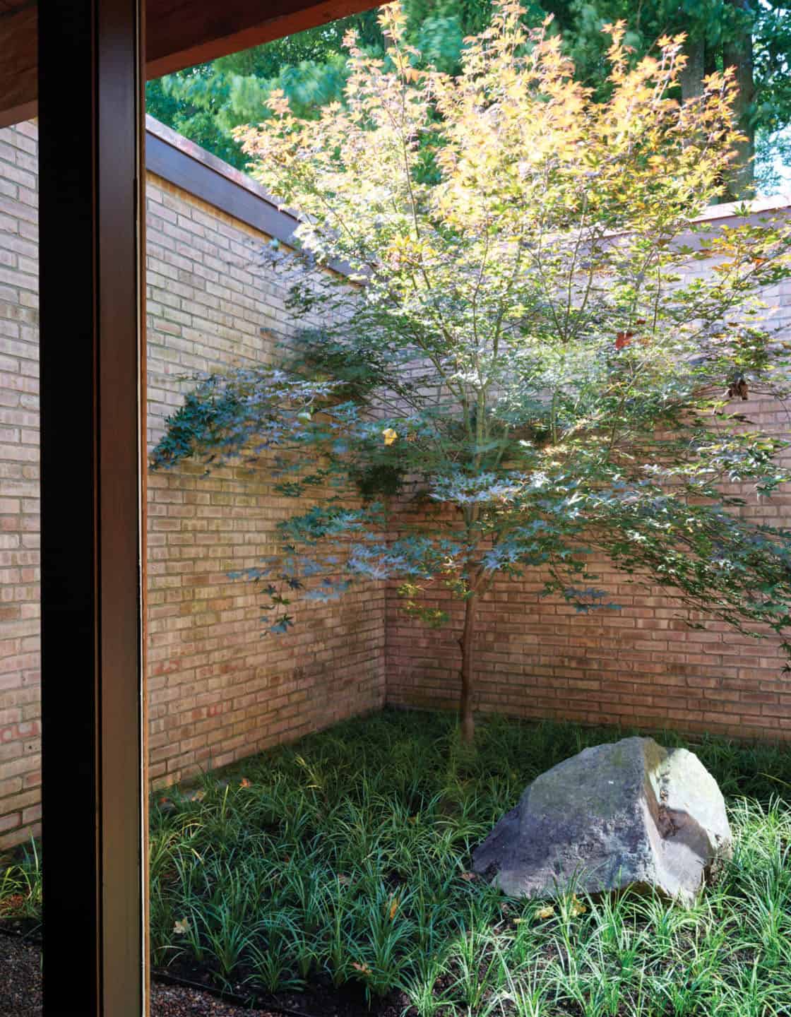 midcentury modern outdoor courtyard