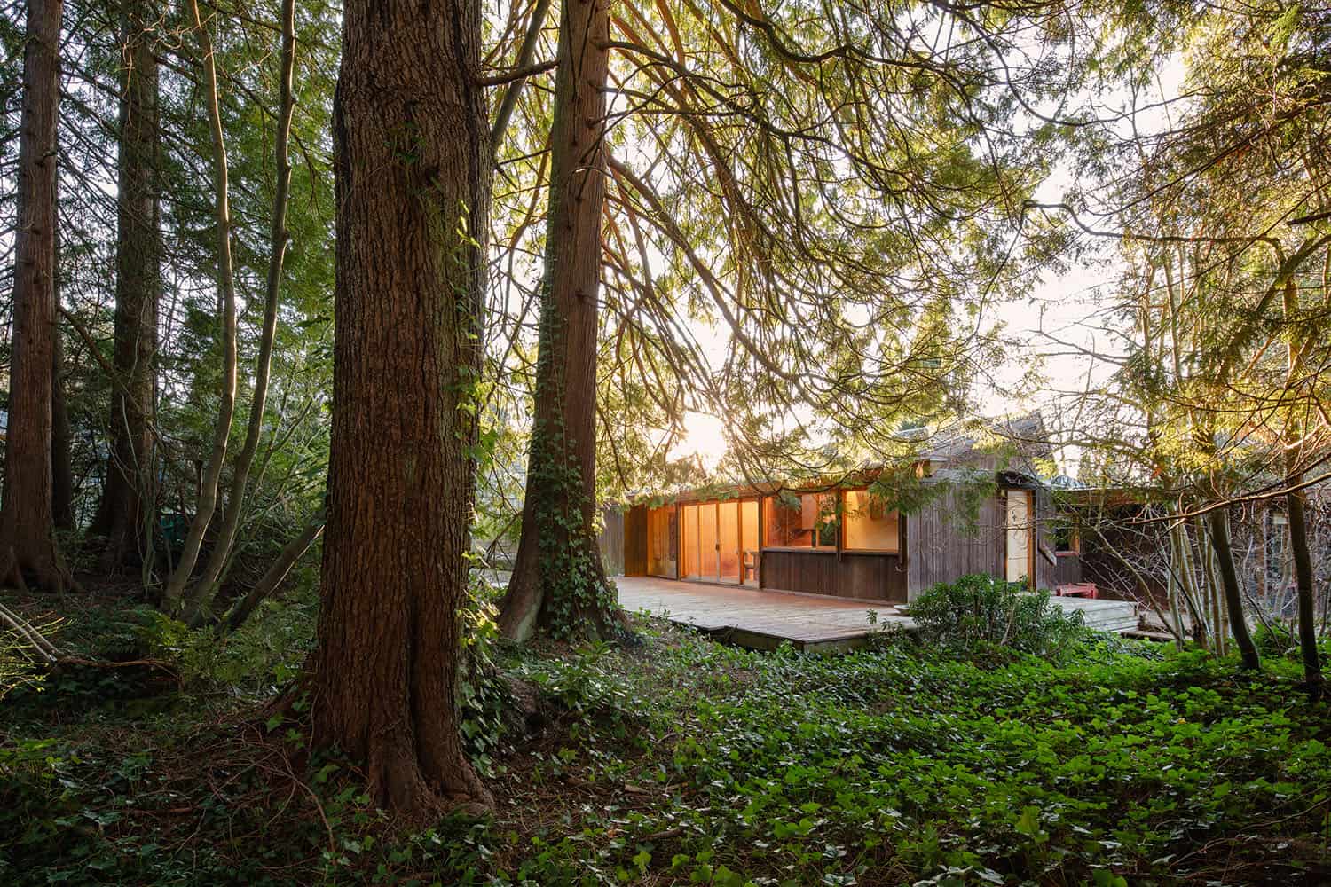 mid-century modern house exterior in the forest