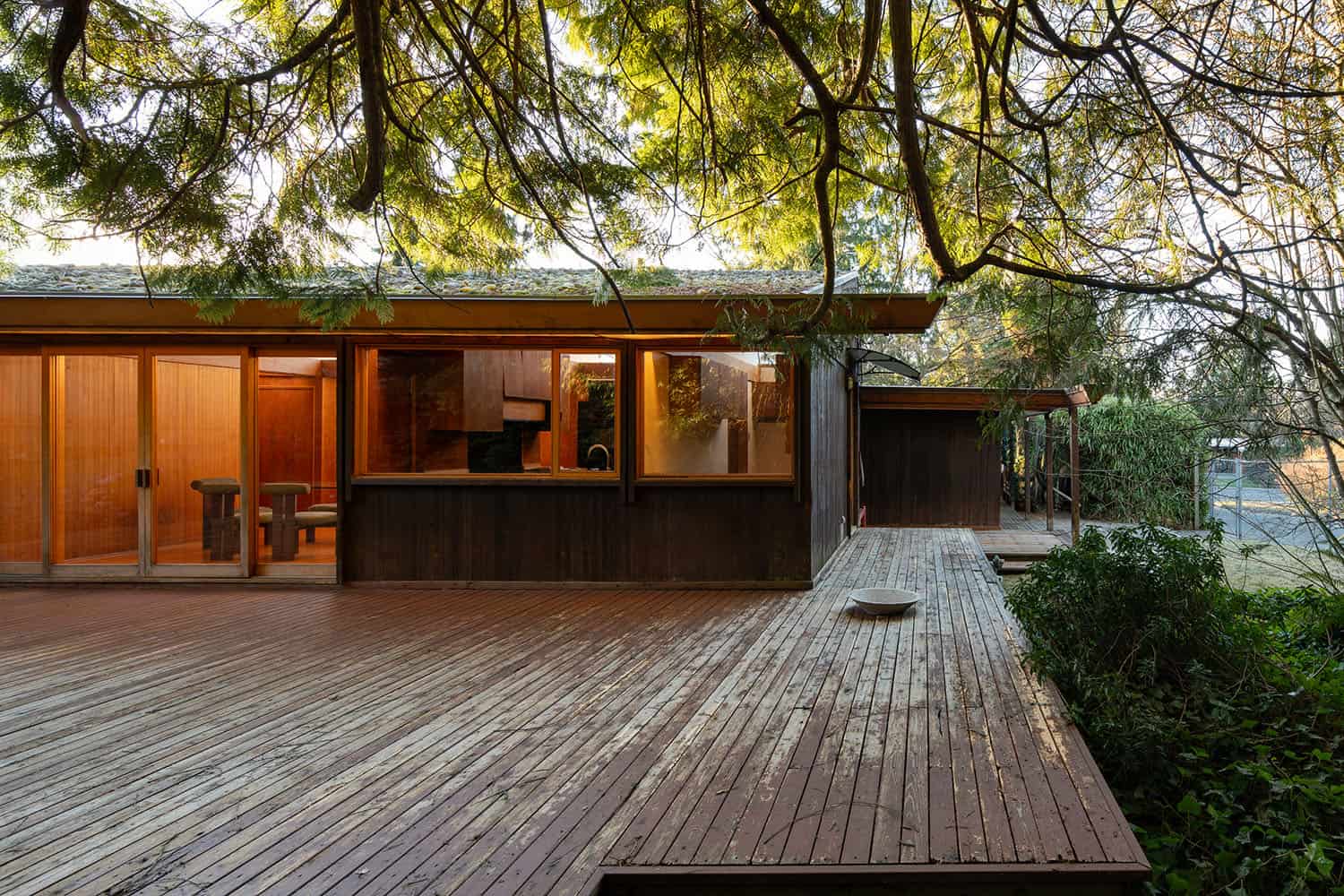 mid-century modern house exterior in the forest