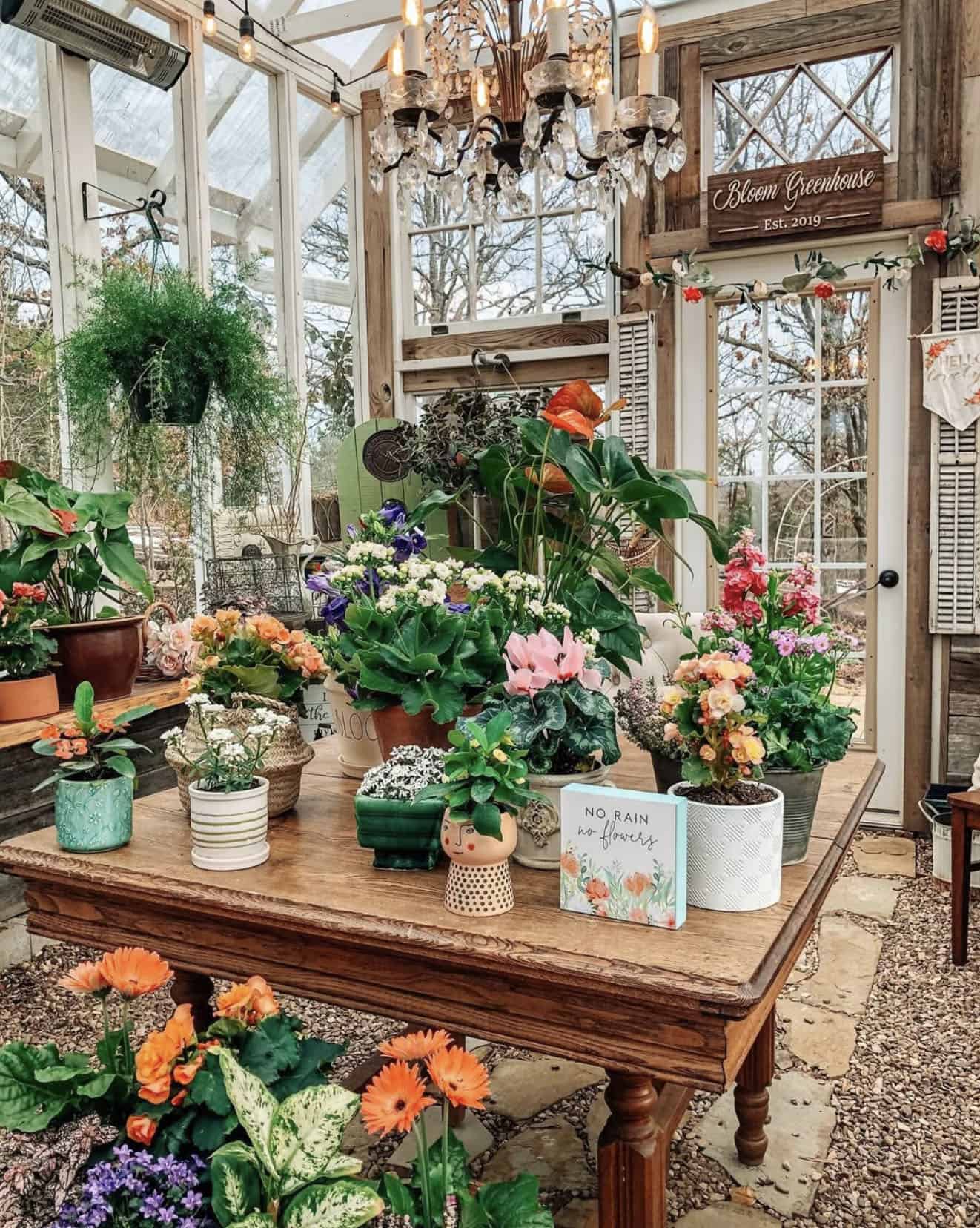 greenhouse with potted plants