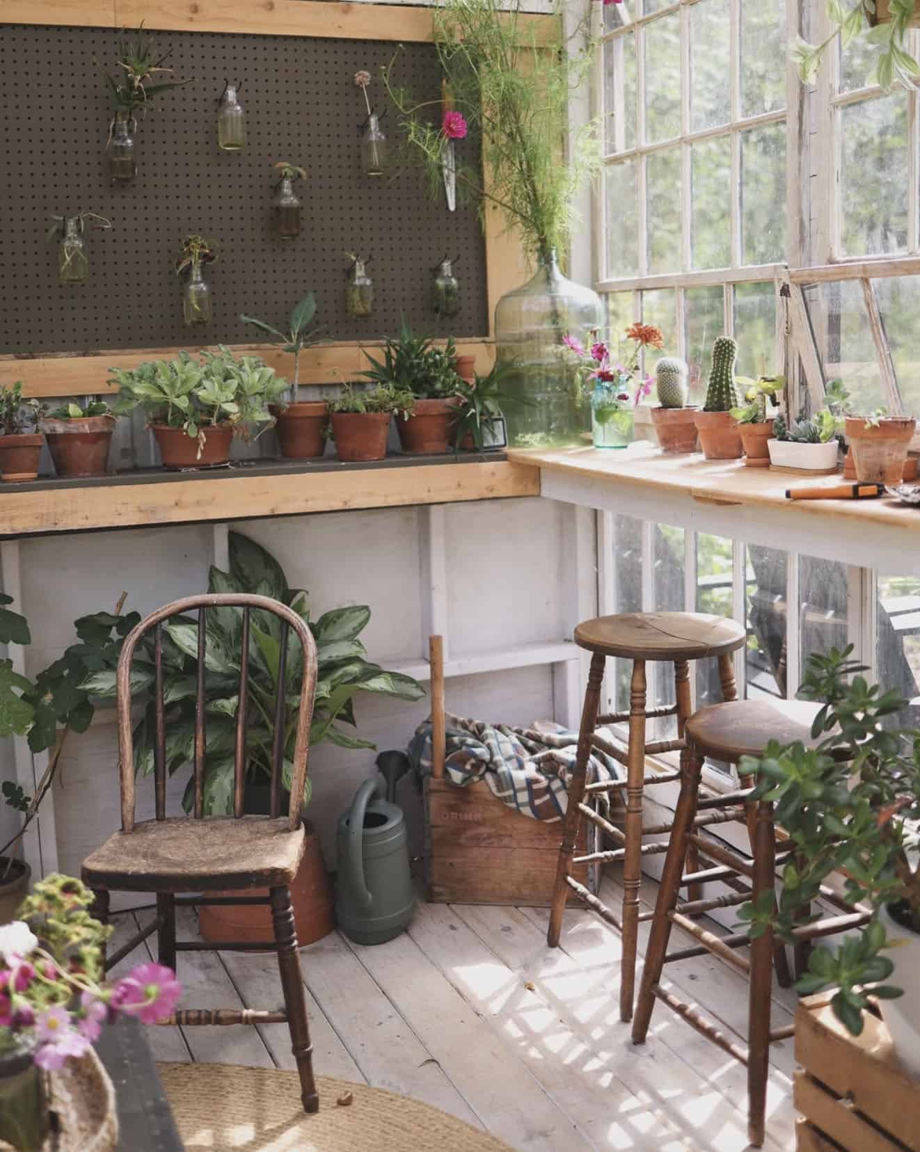 greenhouse interior with seating and planted pots on floating shelves in the window