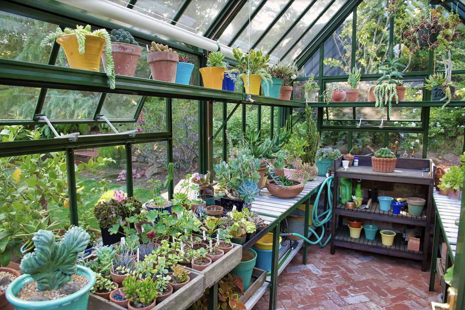 garden greenhouse with shelves for pots