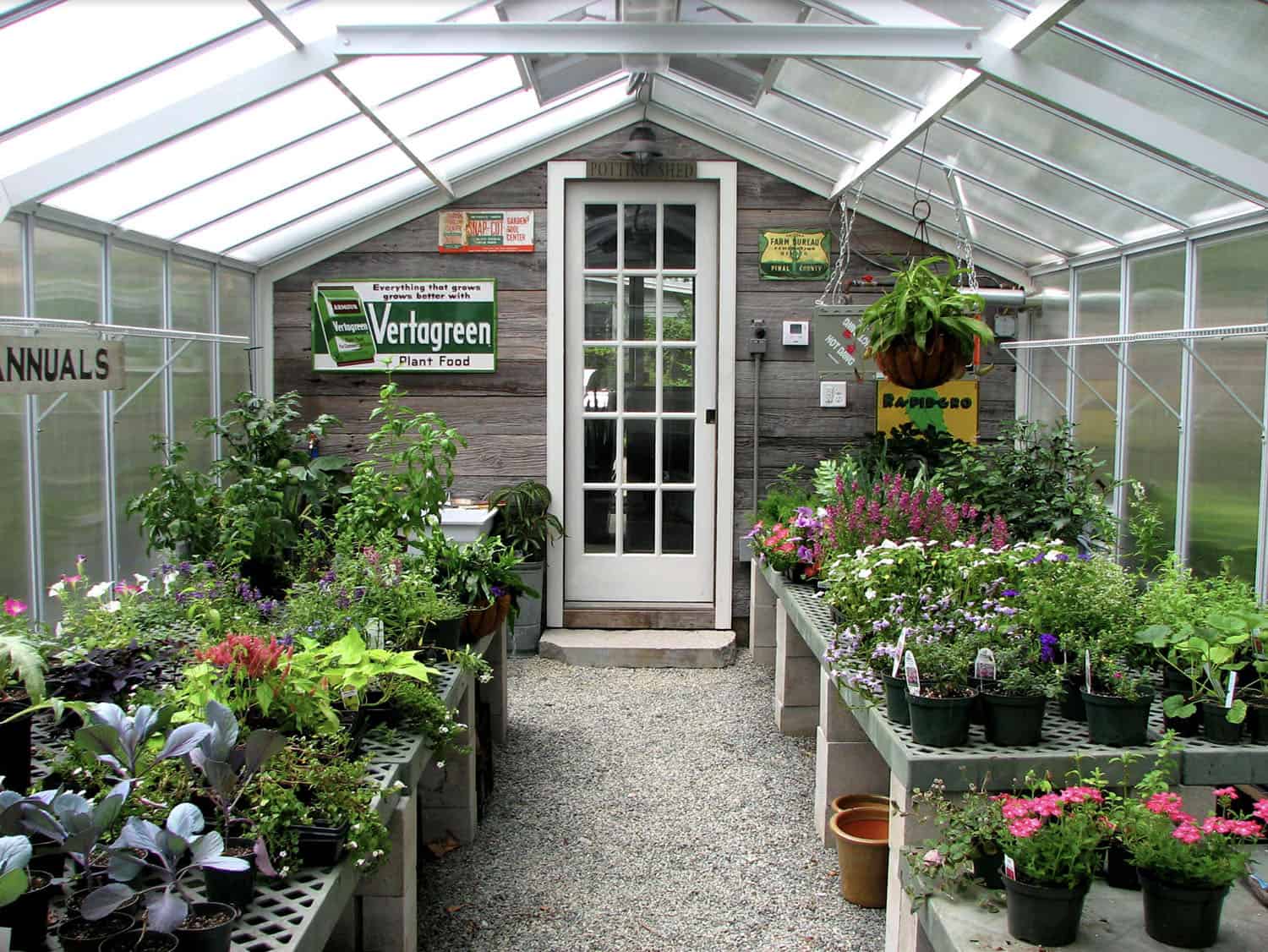 greenhouse with a simple benching system for potting plants