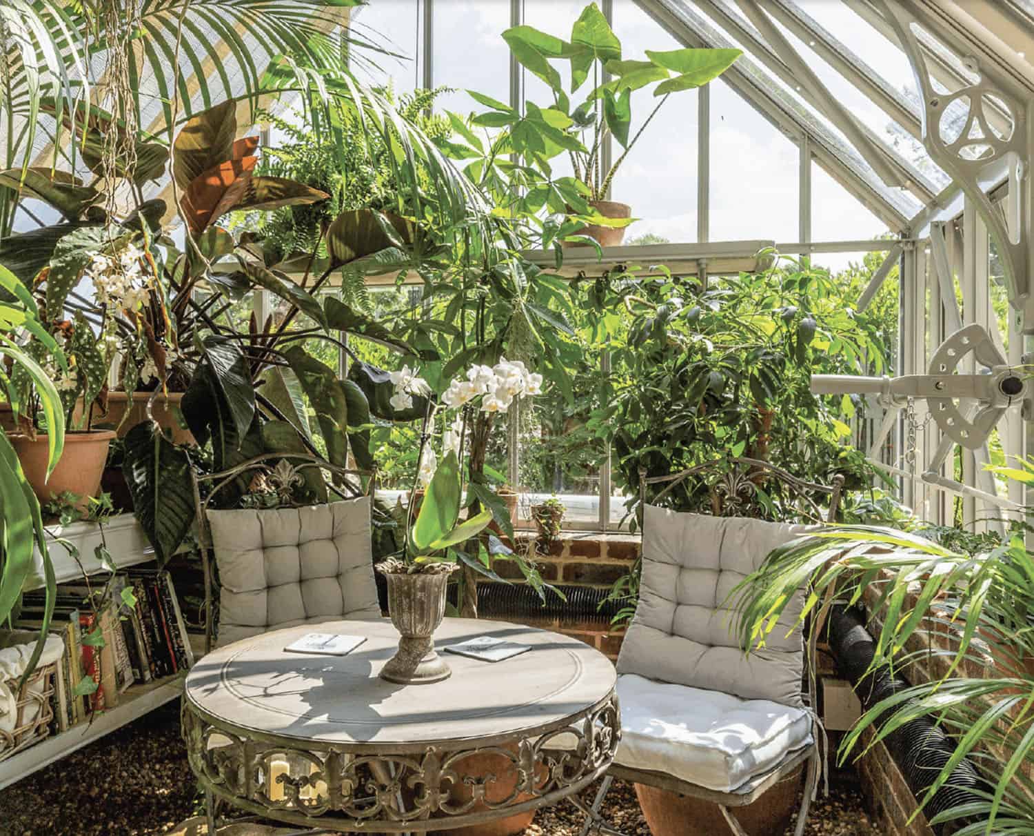 victorian style greenhouse with plants and a sitting area