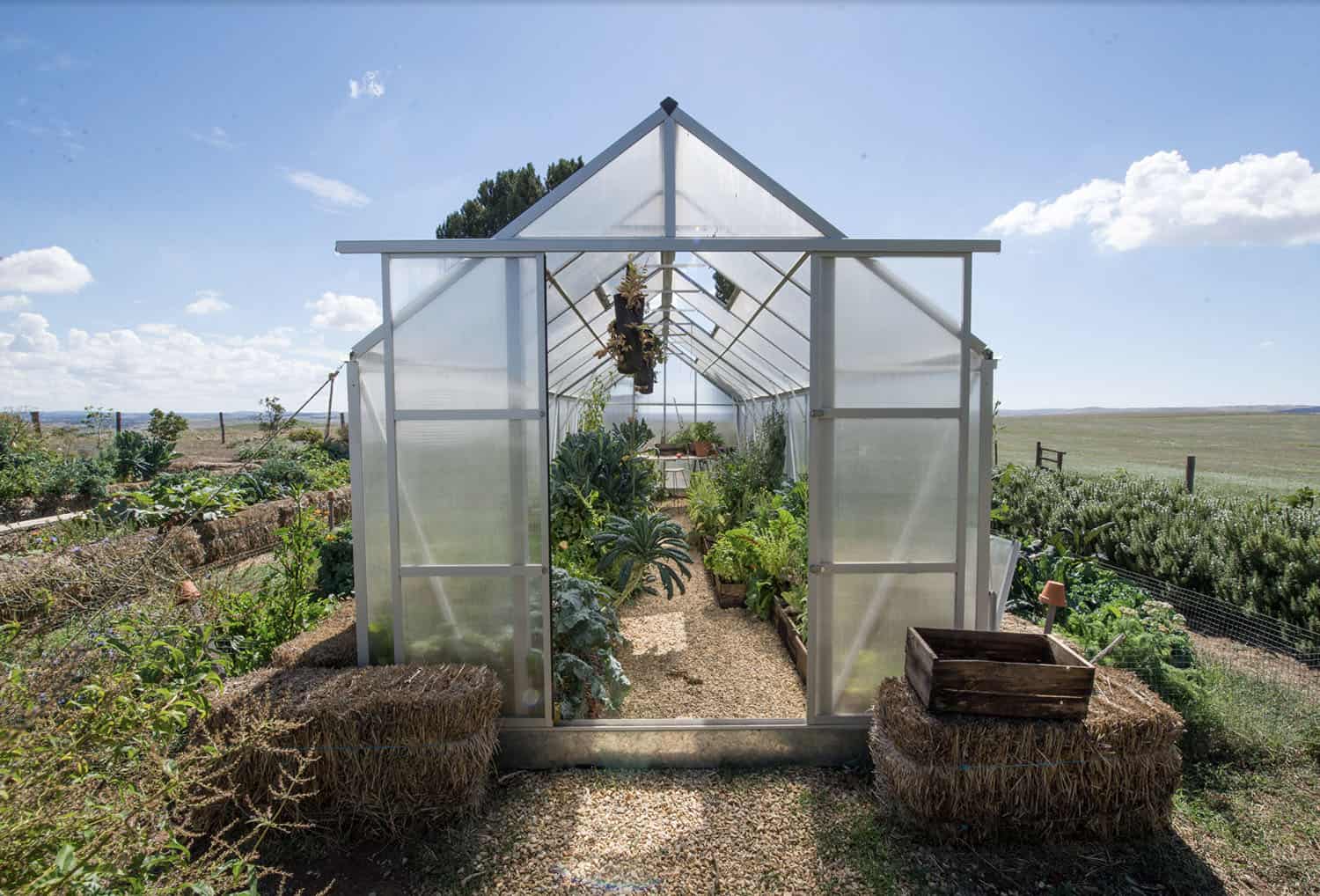 greenhouse exterior with polycarbonate and aluminum