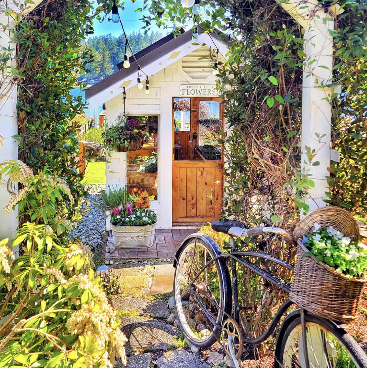 greenhouse garden exterior with an arbor