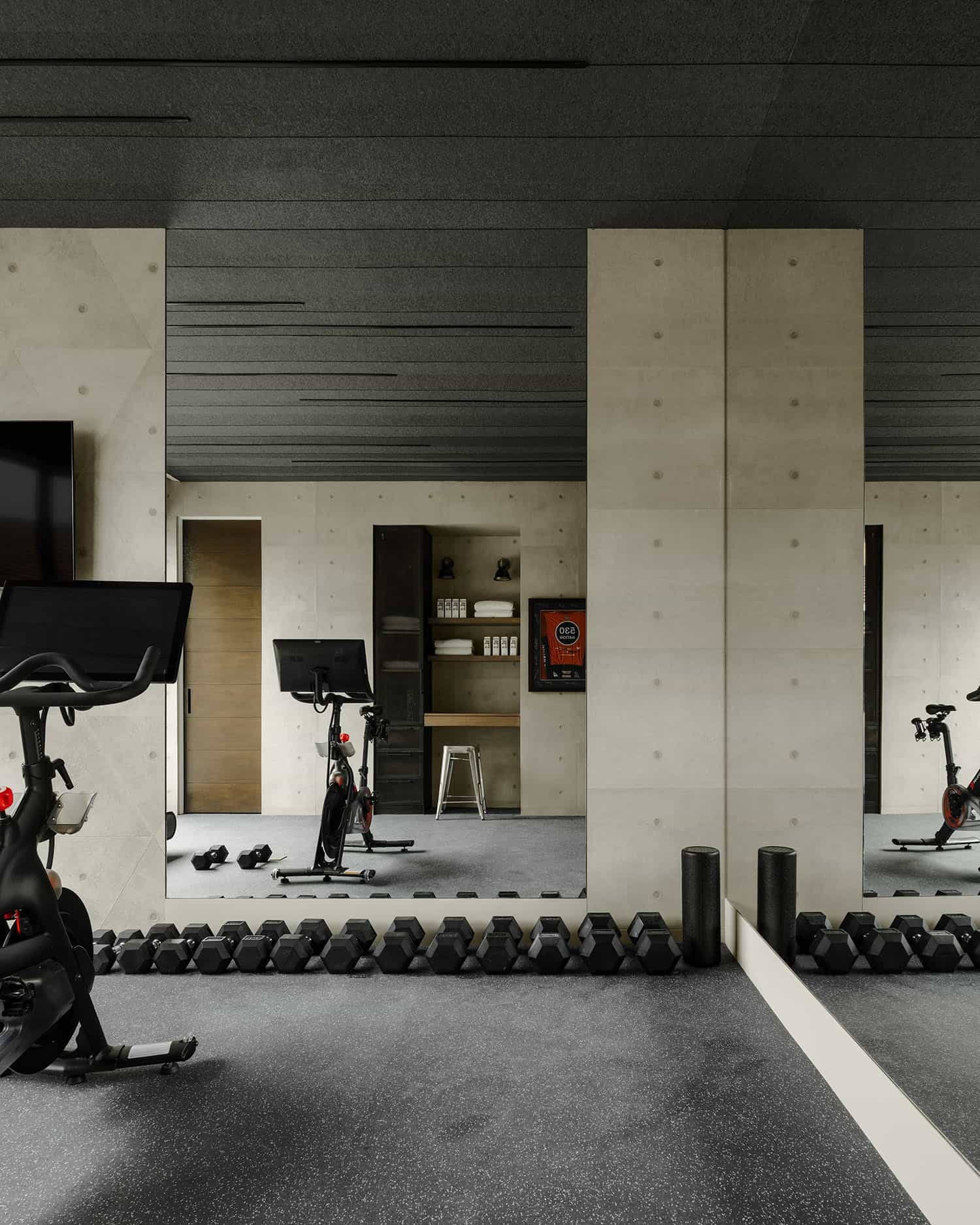 contemporary home gym