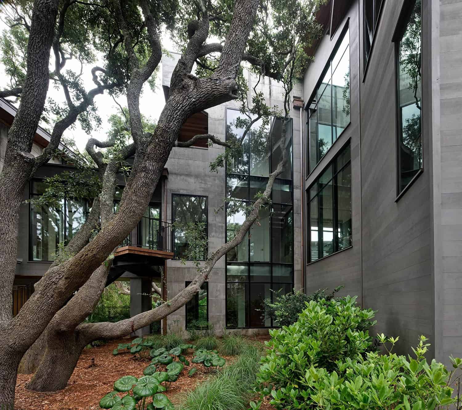 treehouse-inspired home exterior