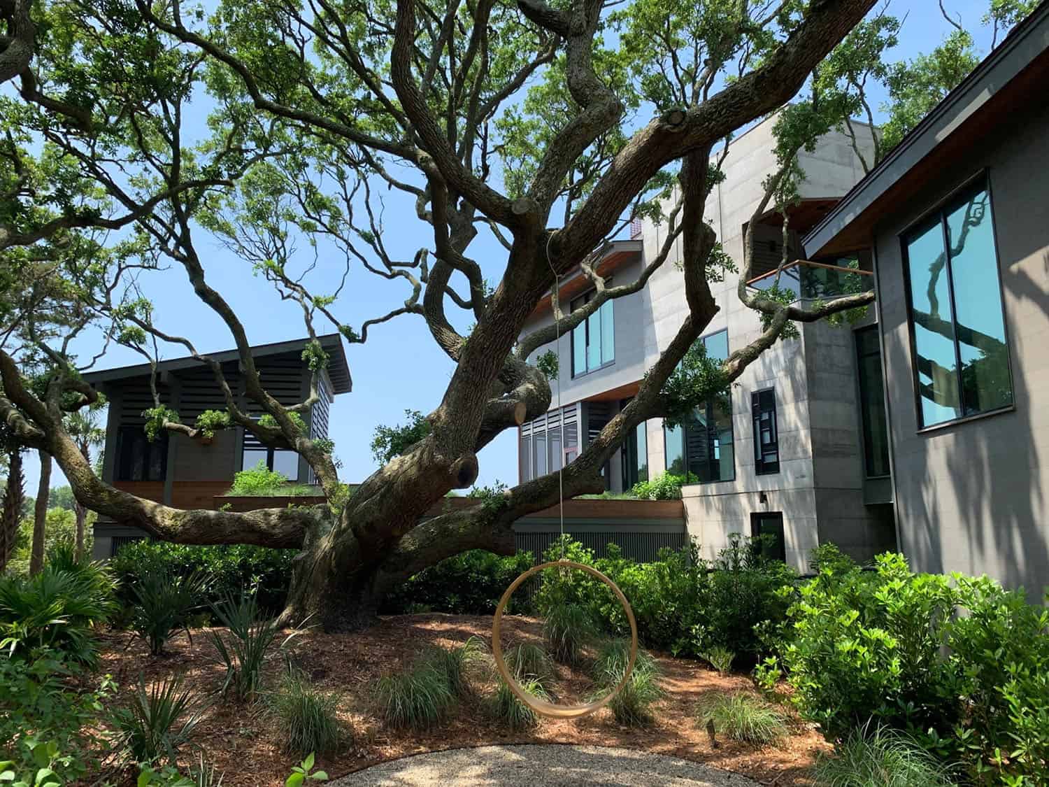 treehouse-inspired home exterior with a pool