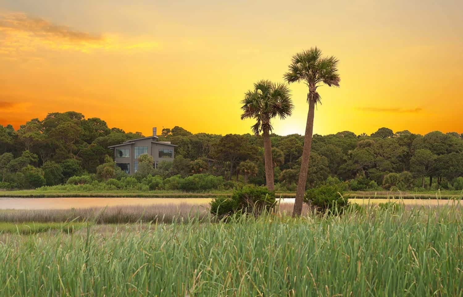 treehouse-inspired home exterior landscape at sunset