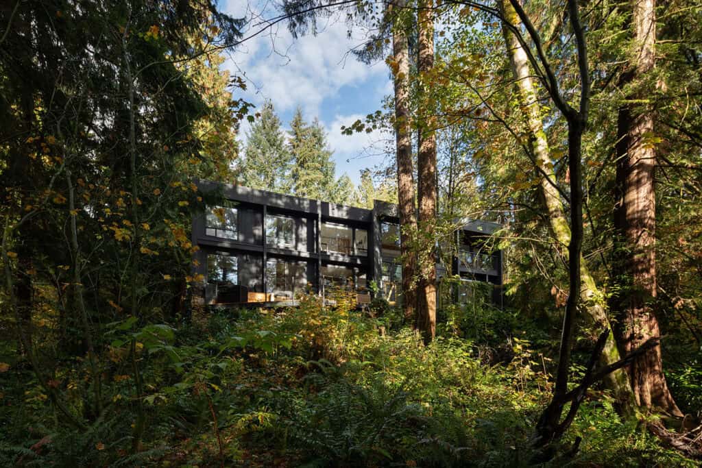 See this insane North Vancouver house surrounded by a breathtaking forest