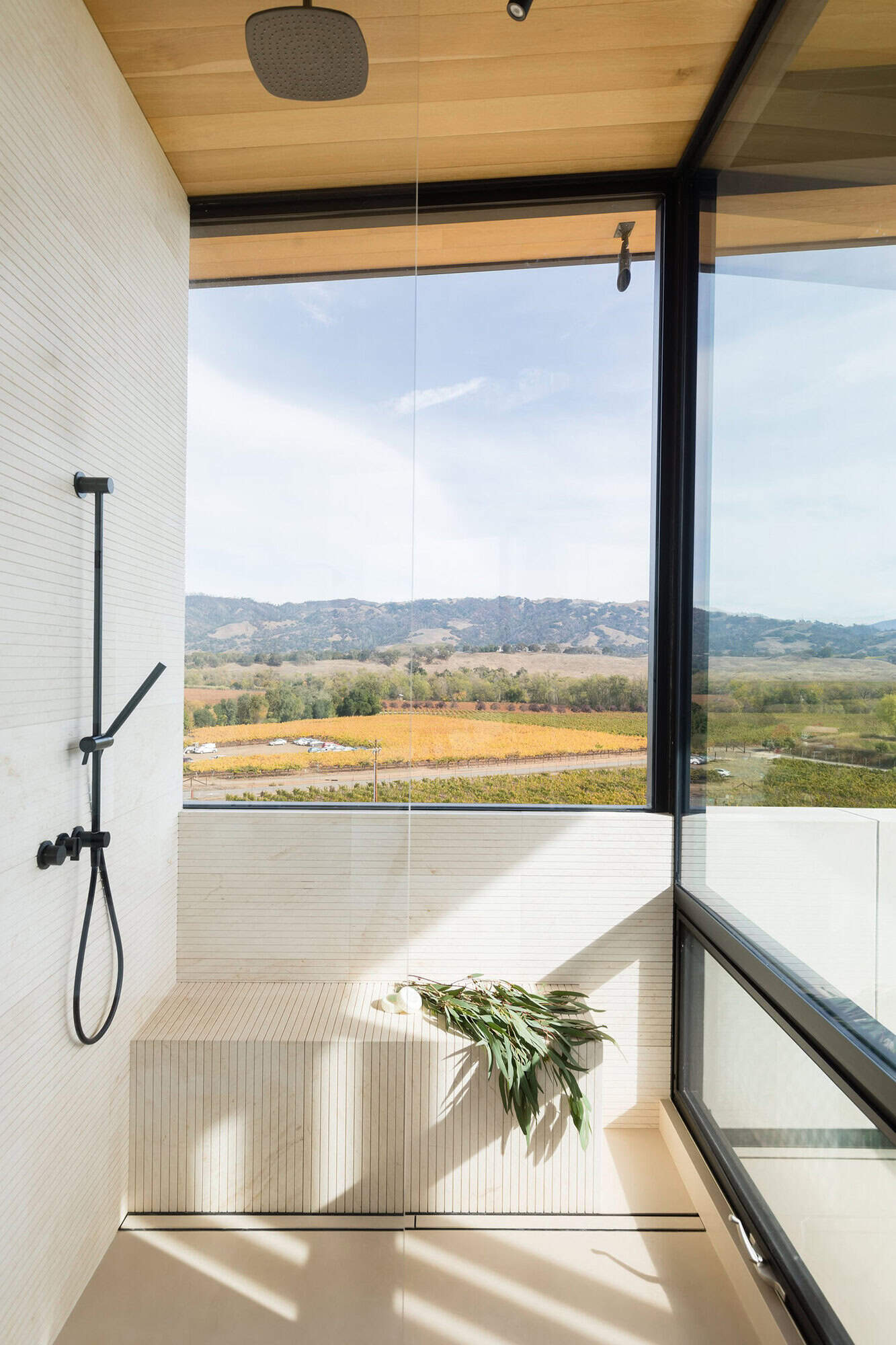 contemporary bathroom shower with glass walls