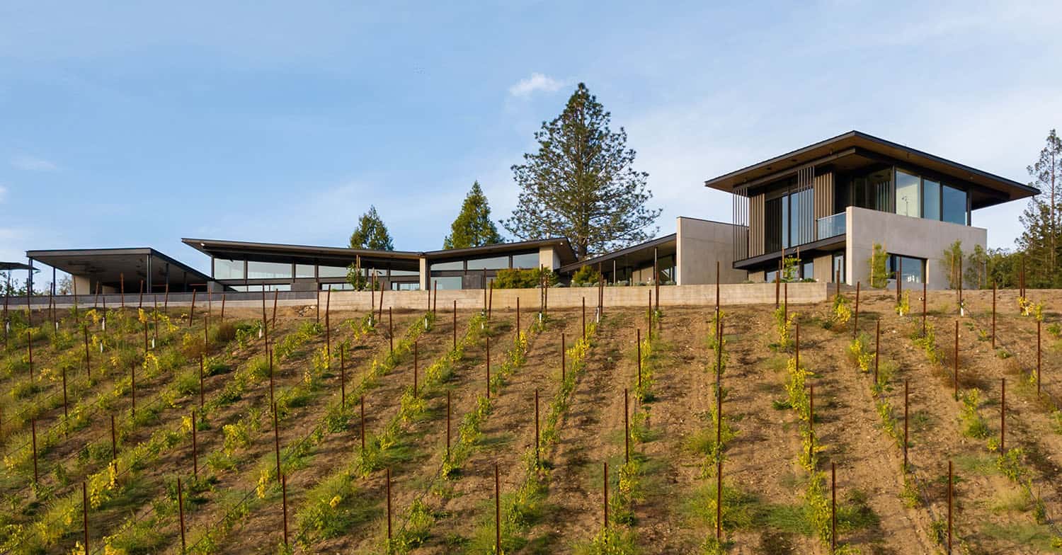 contemporary home exterior with a vineyard