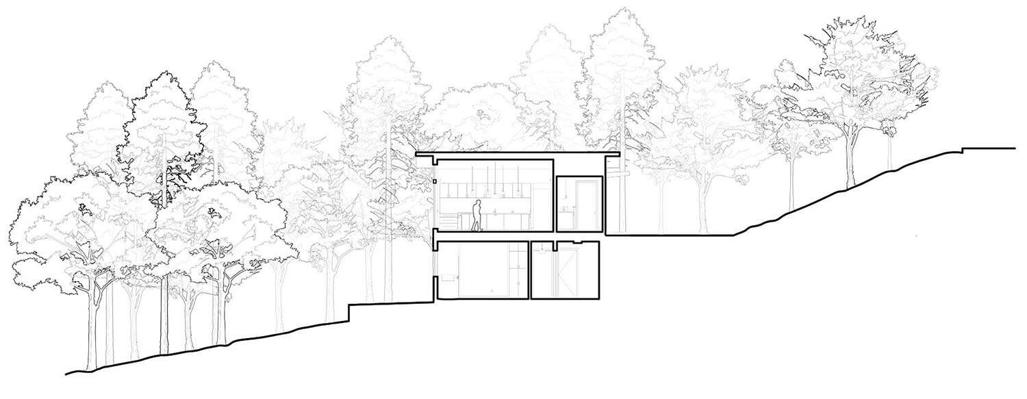 modern mountain home section plan