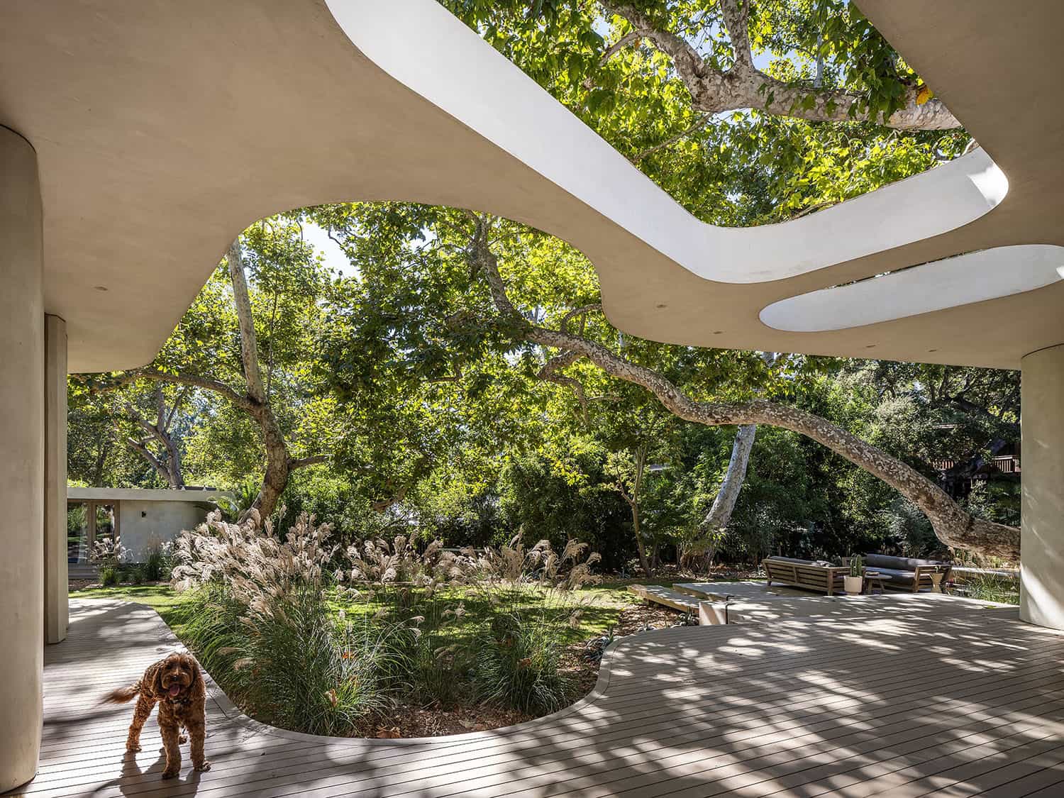 modern organic home exterior
