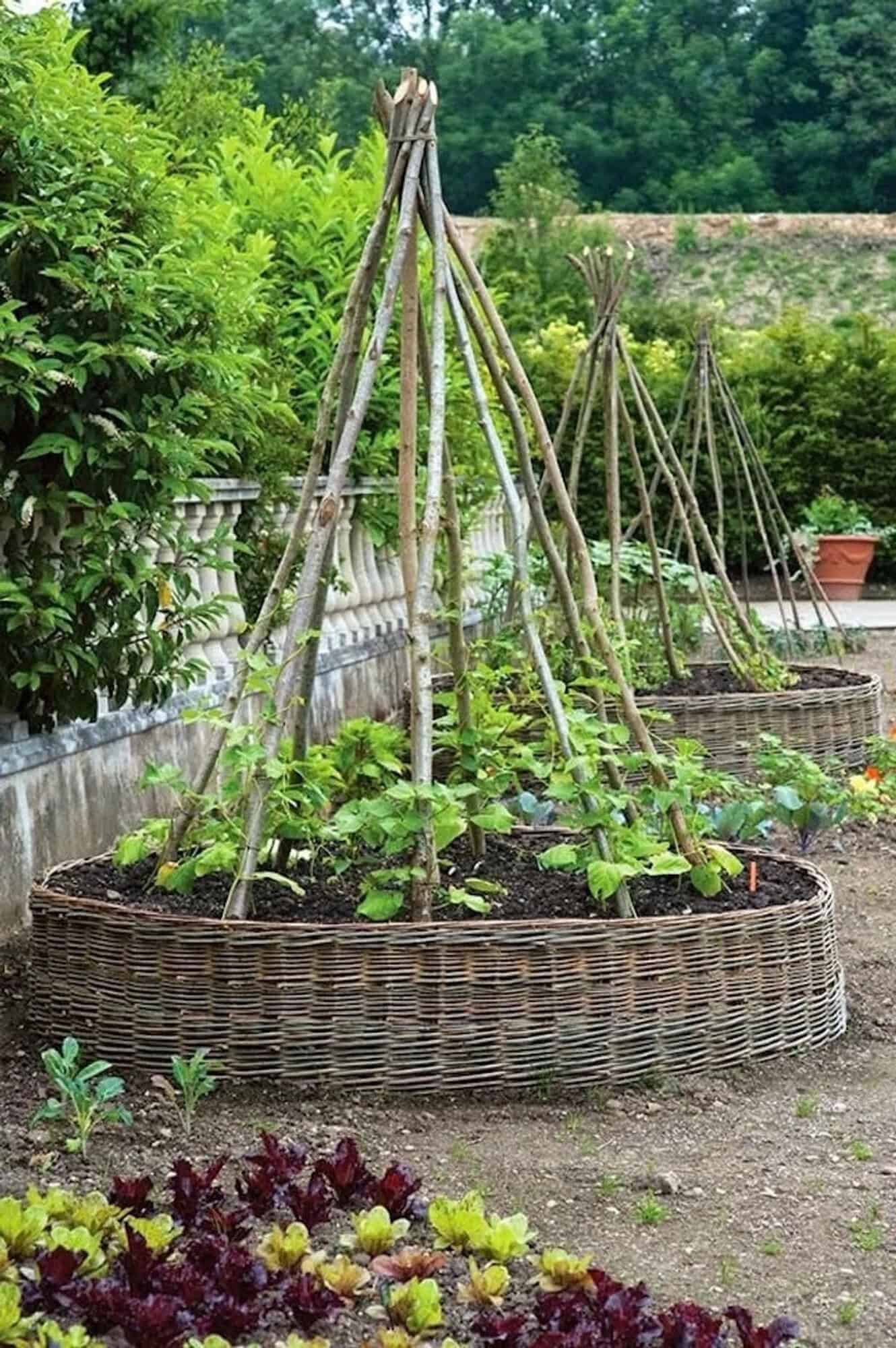 raised bed with climbing teepee