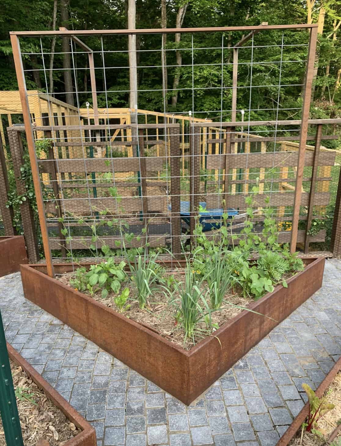 vertical vegetable garden with a trellis
