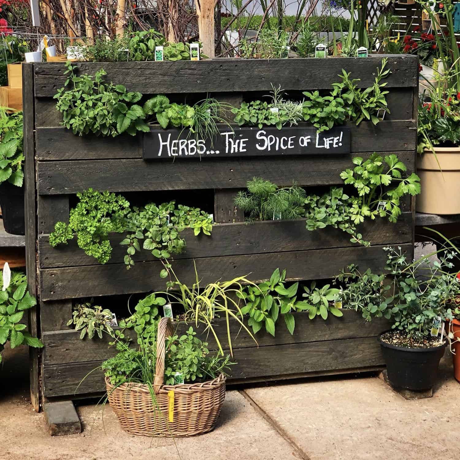 DIY pallet garden