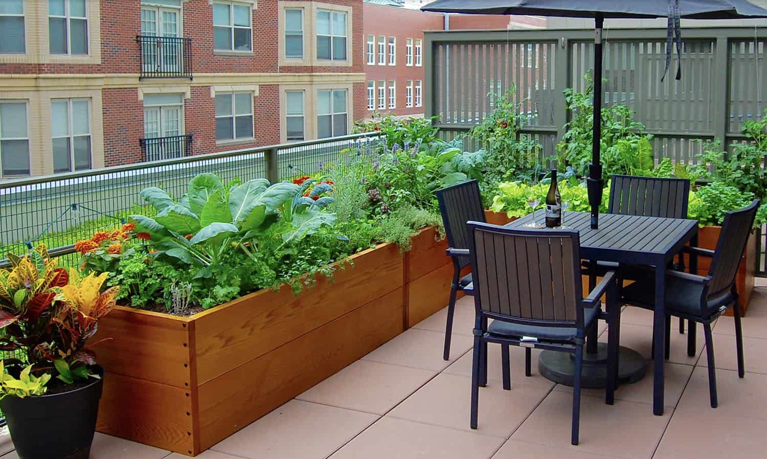 cedar raised beds for an urban garden