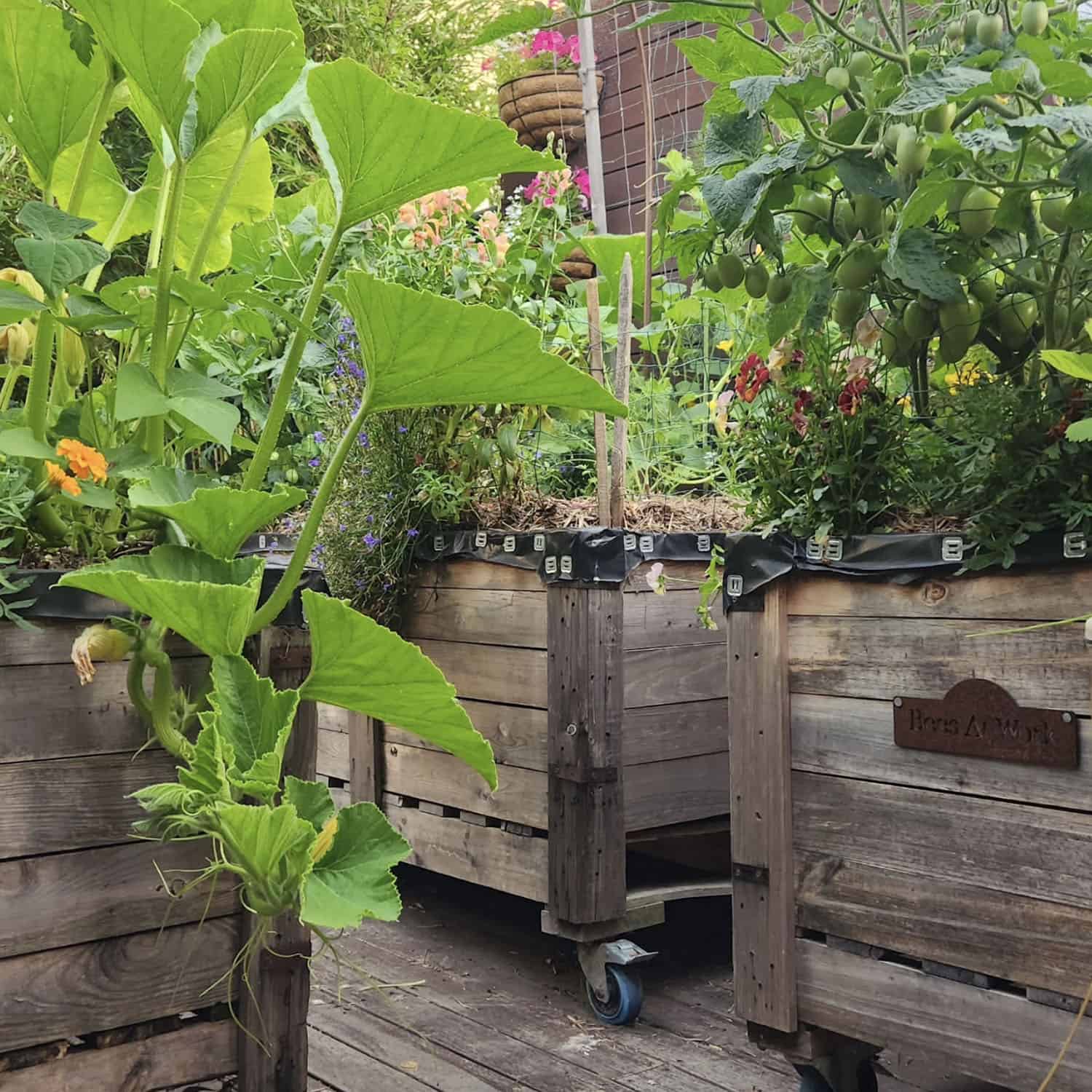 patio with rolling raised beds