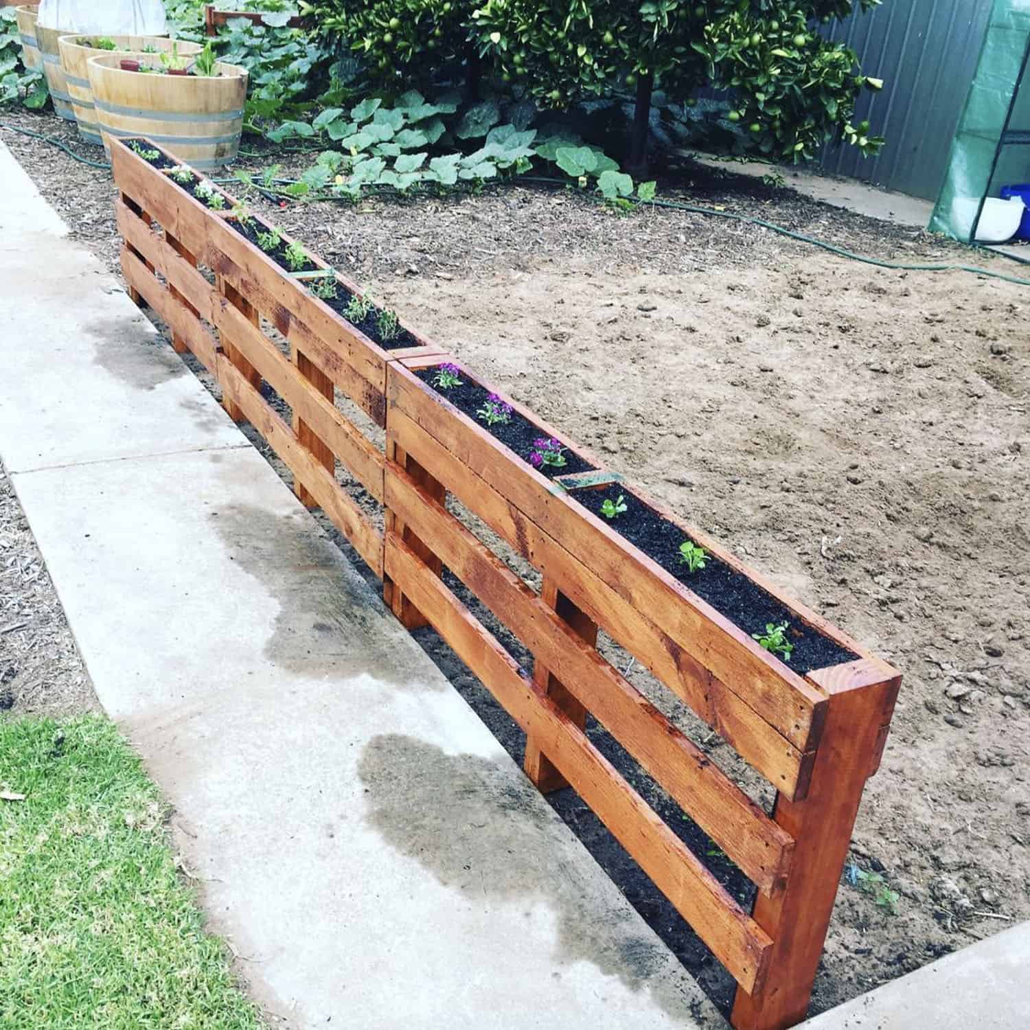 palette fence for small yards
