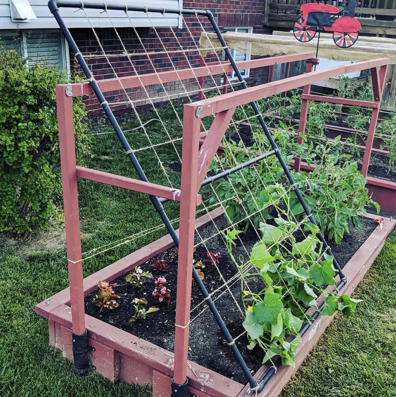 DIY cucumber trellis