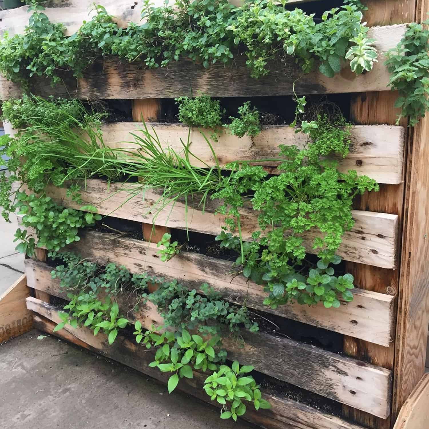 vertical palette garden